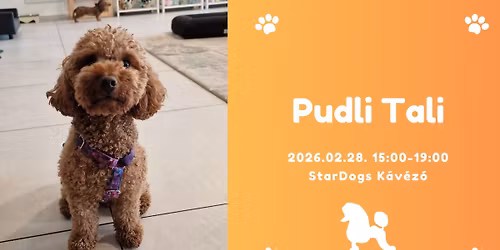 Pudli Tali a StarDogs-ban
