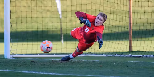 Parking Oakland Golden Grizzlies at Green Bay Phoenix Womens Basketball