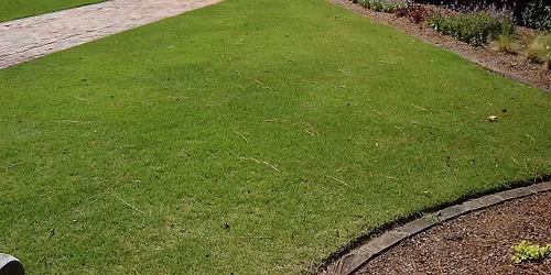 Summer Lawn Care M