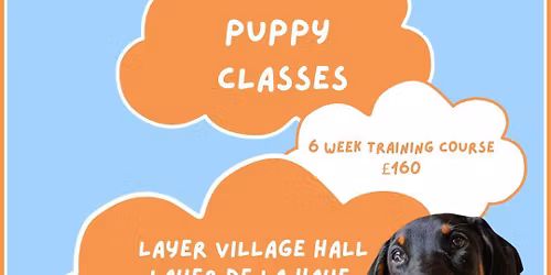 Puppy Class Course