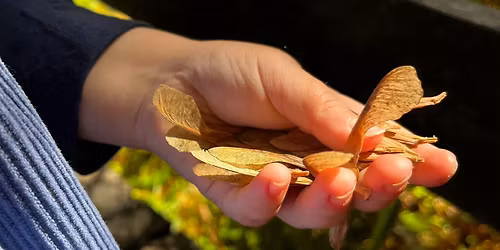 Kids Workshop: Little Pollinators: Bees, Butterflies & Beyond