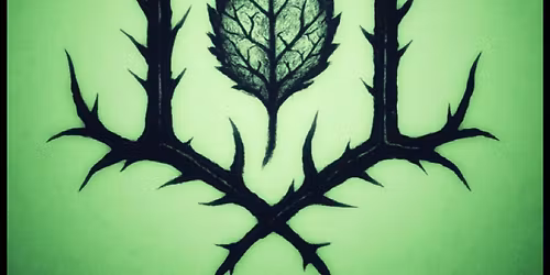 Light Leaves debut show