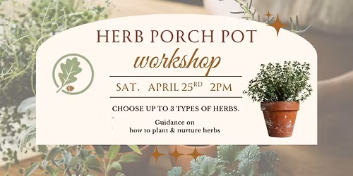 Herb Porch Pot- Workshop