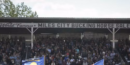 2026 Miles City Bucking Horse Sale - Saturday at Eastern Montana Fairgrounds