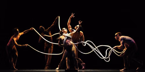 Pilobolus