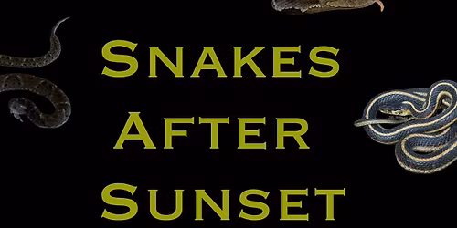Snakes at Sunset 