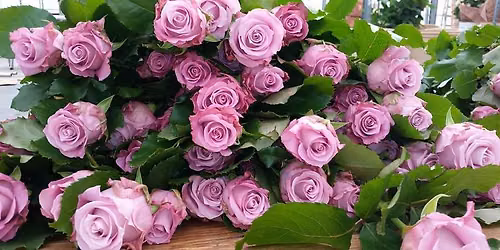 Bouquets and Bubbles