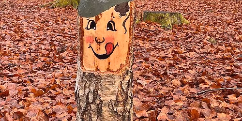 Nissejagt i Fladbro Skov