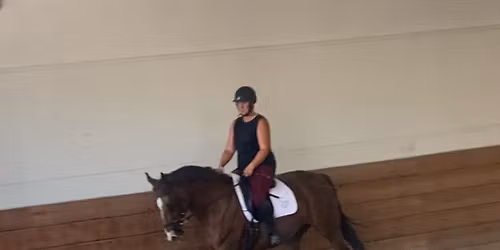 Fundamentals of Dressage Clinic with Shelley Mills April 2026