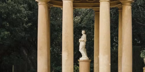 Ducks Ltd. in Orillia