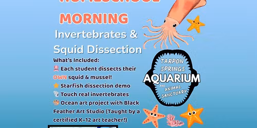 \ud83d\udc19 HOMESCHOOL MORNING: INVERTEBRATES & SQUID DISSECTION \ud83e\udd91