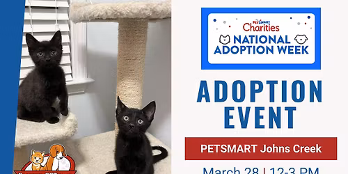 Pet Adoptions at PetSmart Johns Creek