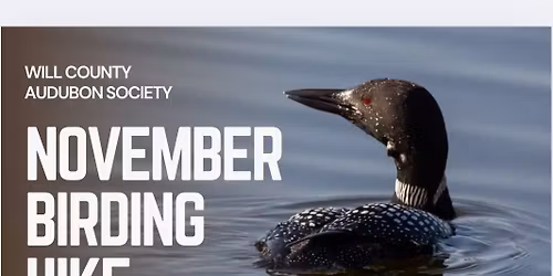 November Birding Hike