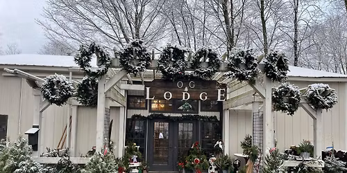 Christmas tree minis  \ud83c\udf84 