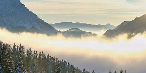 Release & Rise Retreat