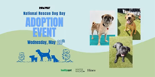 National Rescue Dog Day at RUNWAY!