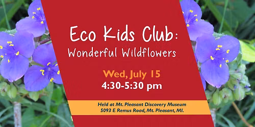 Eco Kids Club: Wonderful Wildflowers