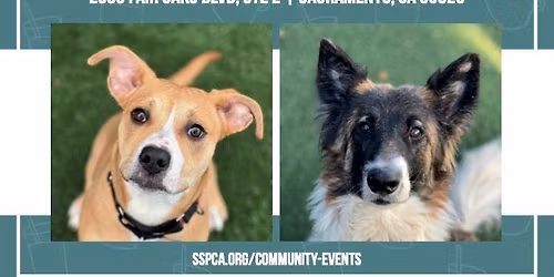 Coffee Date with Adoptable Dogs!