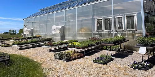 Healing Gardens Spring Plant Sale