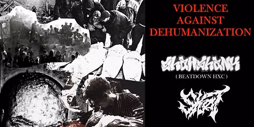 VIOLENCE AGAINST DEHUMANIZATION- koncert benefitowy na PAH