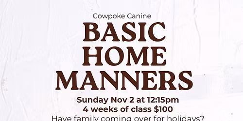 Dog Training- Adult Dog Manners Classes