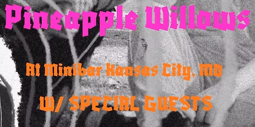 LIVE AT REPLAY LOUNGE W\/ SETH BEAMER \/ THE SOUNDS OF MAN \/ PO MIA \/ MOSAIC