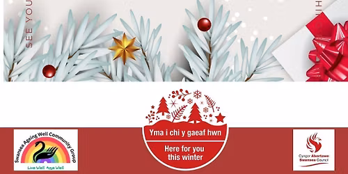 After Christmas Lunch