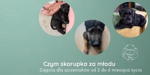 Czym skorupka za m\u0142odu - kurs dla najm\u0142odszych
