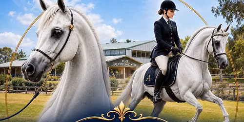 Arabian Breed Classic