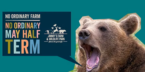 No Ordinary May Half Term