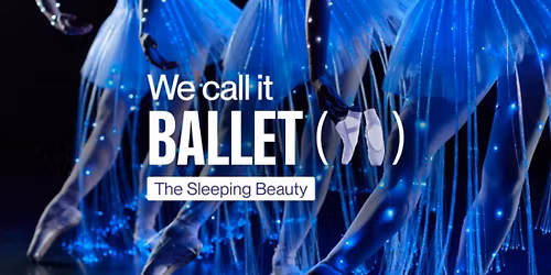 We Call It Ballet: Sleeping Beauty Dance and Light Show