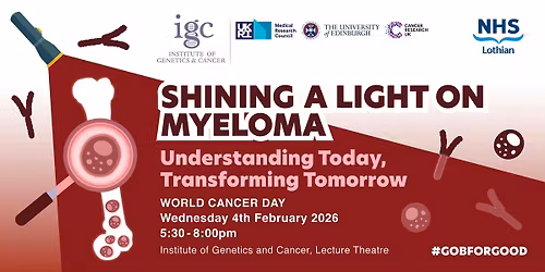 Shining a light on myeloma