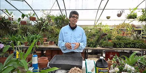 Flamingo Gardens Garden Club - The Remarkable World of Orchids with Alex Cahiz