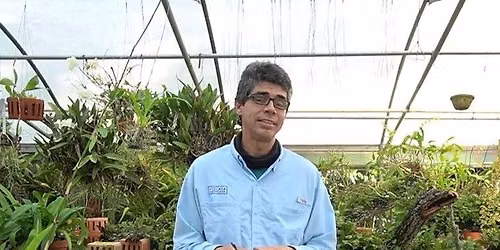 Flamingo Gardens Garden Club - The Remarkable World of Orchids with Axel Cahiz