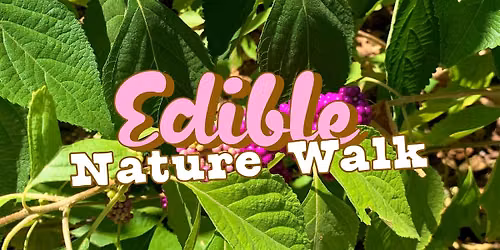Edible Nature Walk for Families