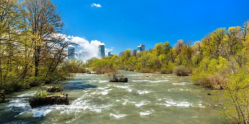 Botany Stroll at the Falls