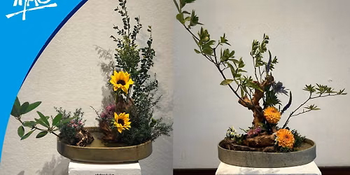 Ikebana for all levels
