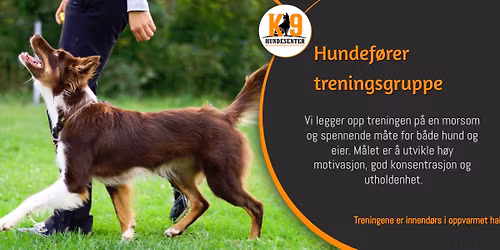 Hundef\u00f8rer treningsgruppe