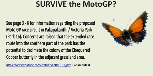 Help us draw attention to the plight of this butterly (& countless other tiny species)