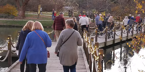 Parking A Christmas Carol - Woodland