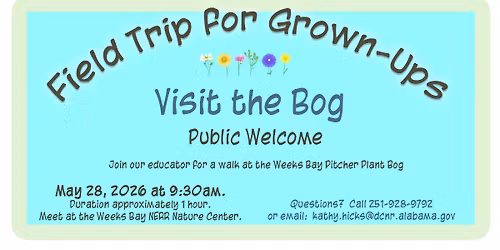 Field Trip for Grown-Ups: Visit the Bog \ud83c\udf37
