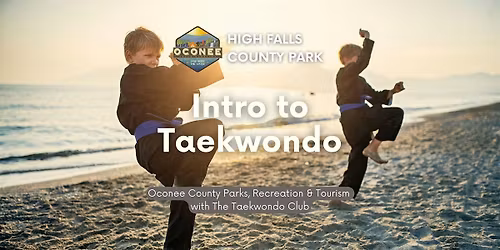 Intro to Taekwondo for Kids