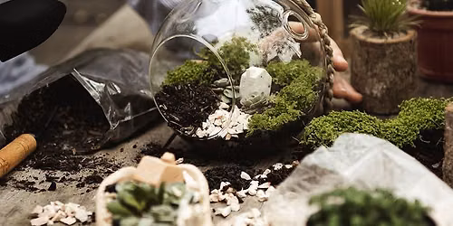 Create and Maintain a Terrarium