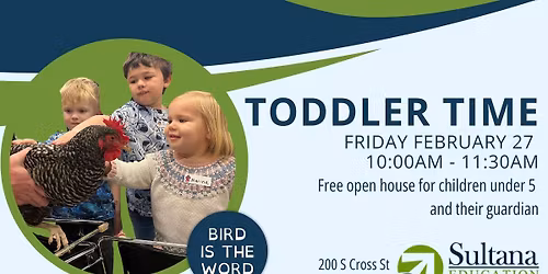 Toddler Time - Bird is the Word