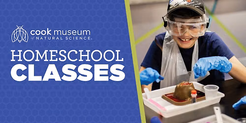 November Homeschool Classes