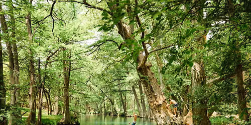Blue Hole Wymberly