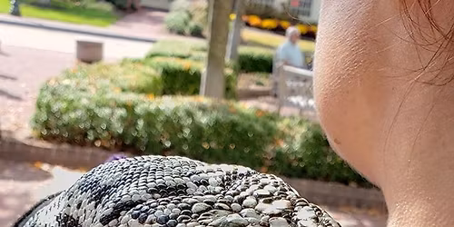 Reptile Education of Virginia ADOPTION event!