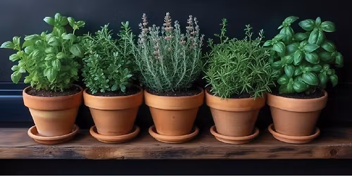 \u201cThe World of Herbs\u201d by HGC Member Rosemary Fleury, Active Gardener, Novice Herbalist