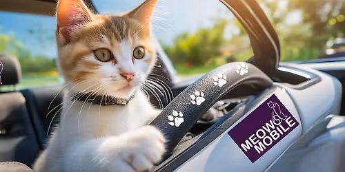 Cat Show & Adoption Event