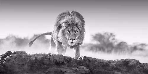 San Diego Study Day 2026